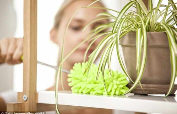 9 spring cleaning mistakes you are making every year