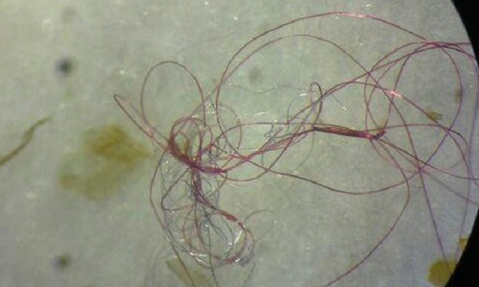 Single clothes wash may release 700,000 microplastic fibres 