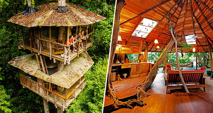Au Costa Rica, on peut dormir au sommet des arbres - Photos