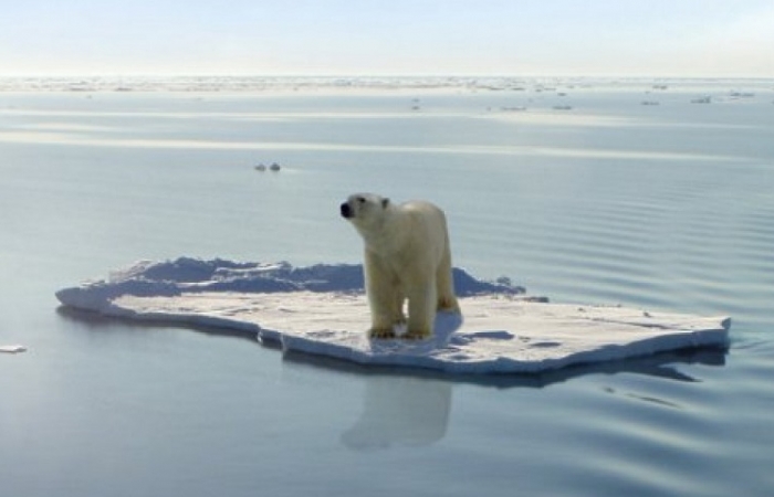 Le changement climatique dérange les océans