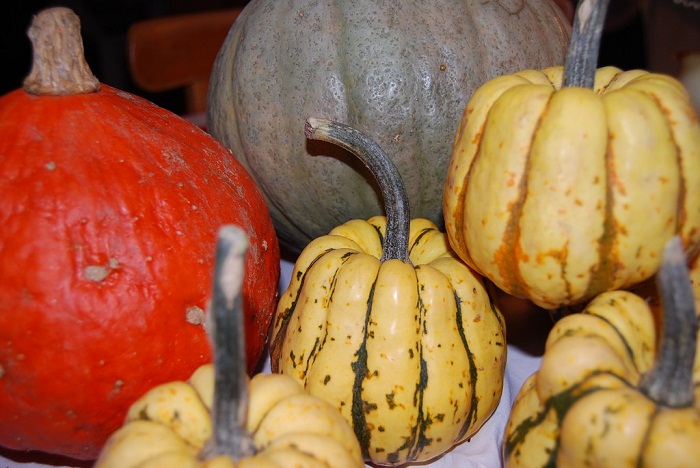 Quand le patron vous force à avaler de la courge amère...