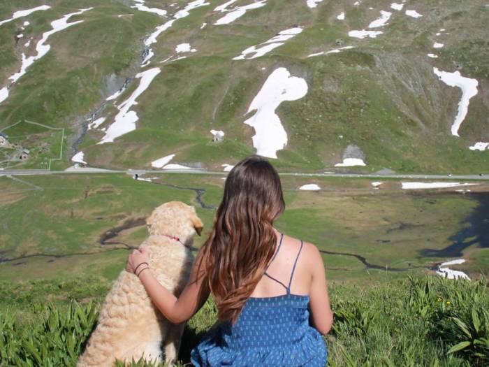 L'humain est capable de comprendre les grognements des chiens