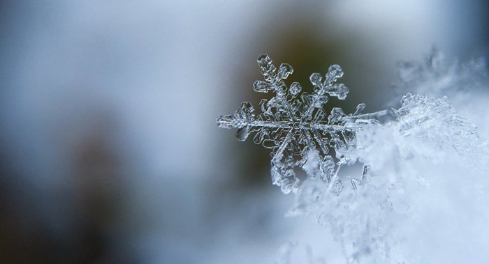 ¿Será posible revivir a una persona después de criogenizarla? 