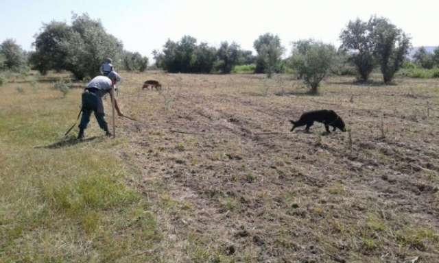 Ammo found in Jojug Marjanli
