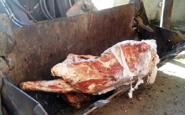 Yararsız ət satanın işi Baş Prokurorluğa göndərildi