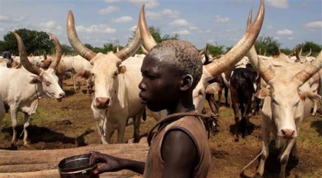 مقتل 27 شخصاً واختطاف أطفال في حادثي سرقة ماشية بجنوب السودان