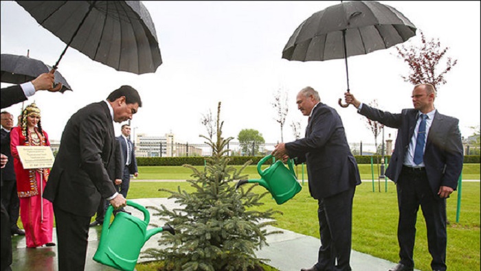 Prezidentlər yağışlı havada ağac suladı - FOTO