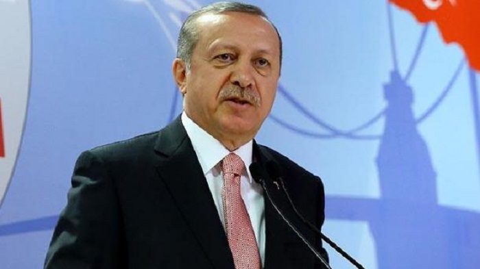 Turquía mantiene la lucha más eficiente contra la banda terrorista DAESH