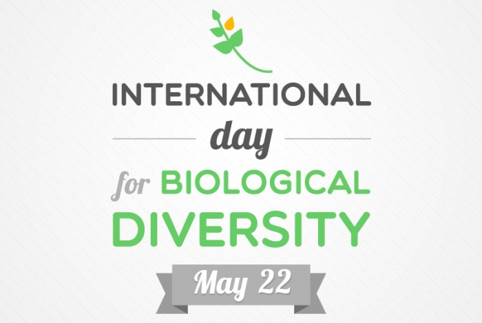 International Day for Biological Diversity - 22 May