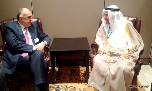 Azerbaijani FM: Joint fight needed against Islamophobia