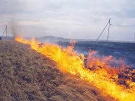 Armenians set fire to occupied Azerbaijani territories