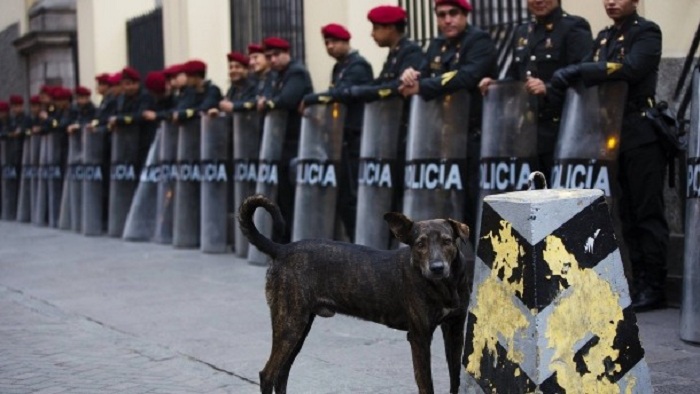 Peru räumt Existenz von Todesschwadronen ein