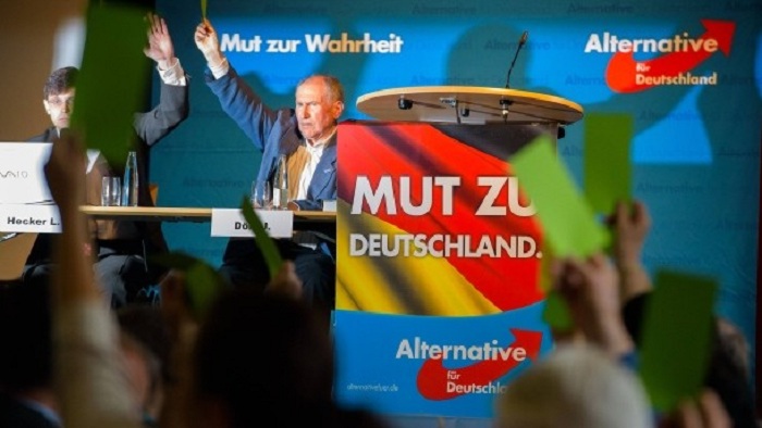 AfD-Chefs wollen Landesverband die Wahl absprechen