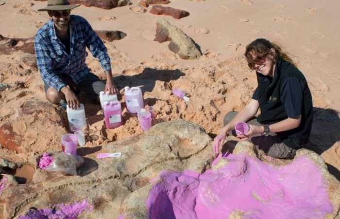 Des empreintes de dinosaures dans le "Jurassic park" australien