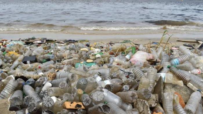 79% du plastique produit depuis 1950 se trouve dans la nature