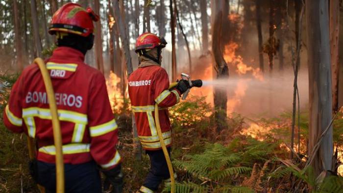 Le bilan de l'incendie de forêt au Portugal augmente à 39 morts