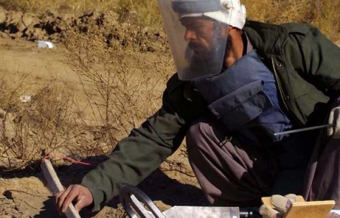 Glowing bacteria offer hope for safe detection of 100m landmines