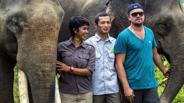 DiCaprio dans la jungle pour soutenir des défenseurs de la nature