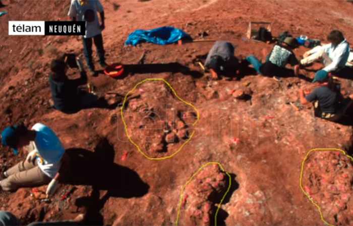 70mn yo dinosaur eggs with embryos inside unearthed in Argentina
