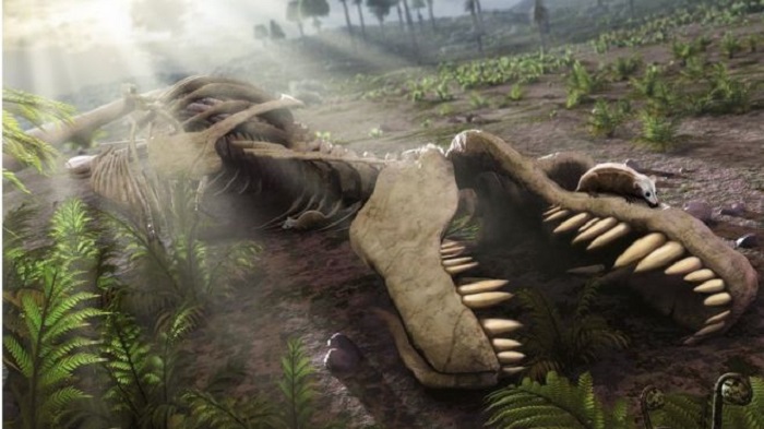 Dinosaurs `in decline` 50 million years before asteroid strike