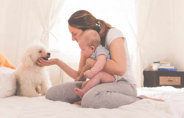 Why dog owners have healthier babies