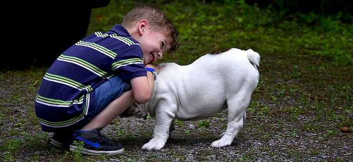 Avoir un chien à la maison aide les enfants à être moins anxieux