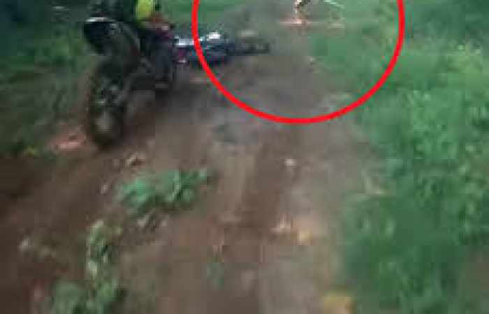 Mysteriöser Busch-Zwerg: Seine Blöße legt selbst Biker flach - VIDEO