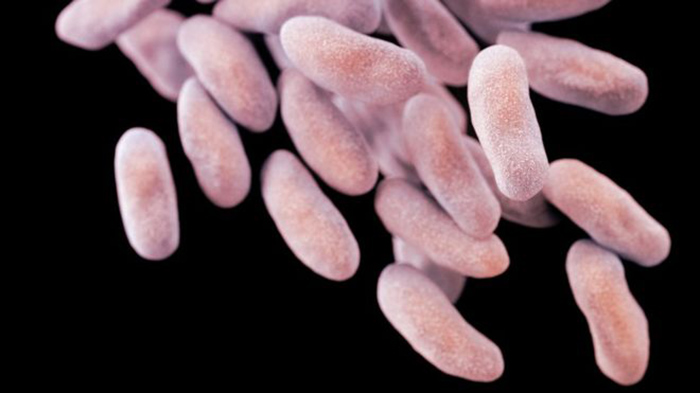 Fears grow over increased antibiotic resistance