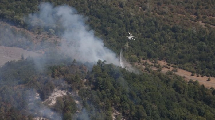 The strong wind expands the fire area in Gabala - Ministry