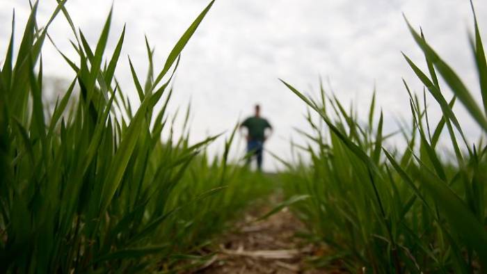 Dow darf mit Dupont fusionieren