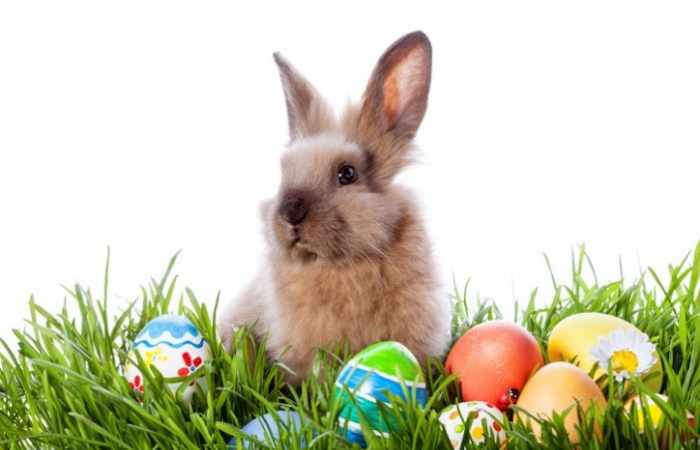 How Easter turned into a holiday with pastel bunnies and chocolate eggs?