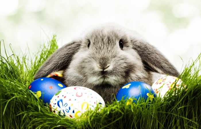 Happy Easter! Here’s how people around the world celebrate the festival