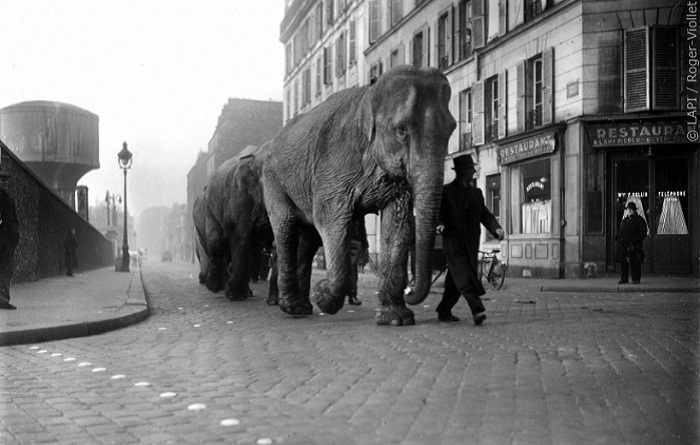 16 photos extraordinaires du Paris de l`ancien temps