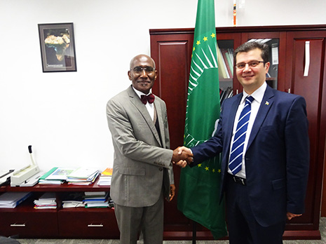Necessary to raise relationships between African Union, Azerbaijan to new level