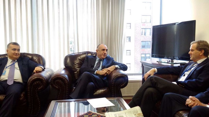 Azerbaijani FM met with the executive director of the American Jewish Committee