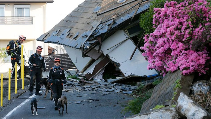 Terremoto en Japón - FOTOS