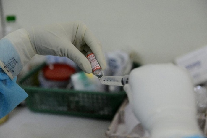 Iran swine flu outbreak kills 33 in three weeks