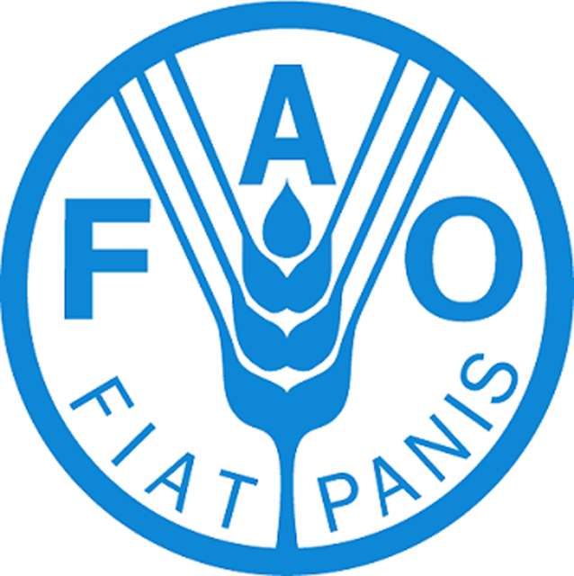 FAO official hails China`s role in supporting food security