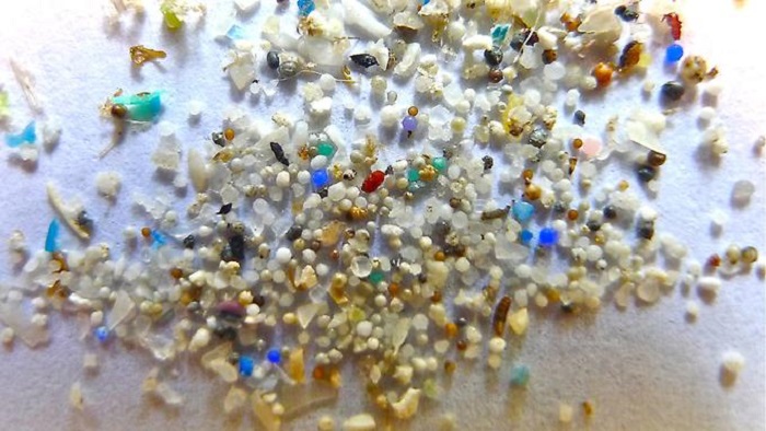 Mikroplastik stärker belastet als erwartet