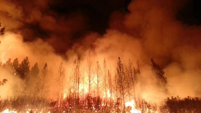 Spanish wildfire forces 1,000 from their homes near Valencia 