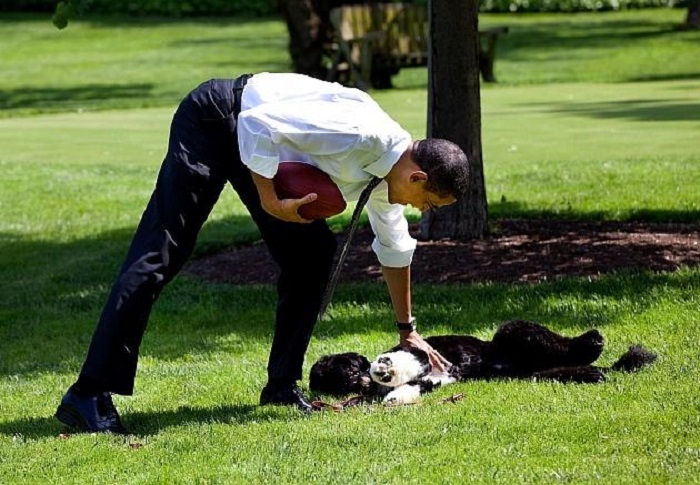 “First Dog“: Obamas Hund Bo vor Entführung bewahrt