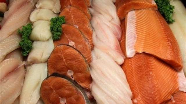 Eating fish weekly raises IQ by almost 5 points in children, study finds