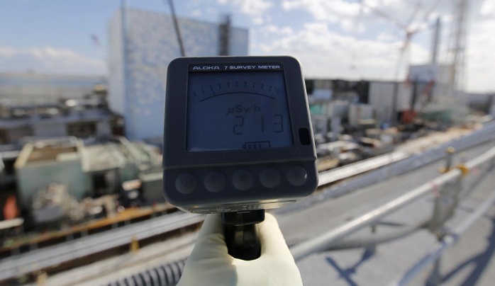 Lingering effects of Fukushima on fish