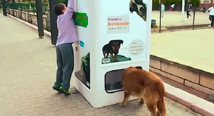 Istanbul: Straßenhunde bekommen Futter gegen Plastikflaschen