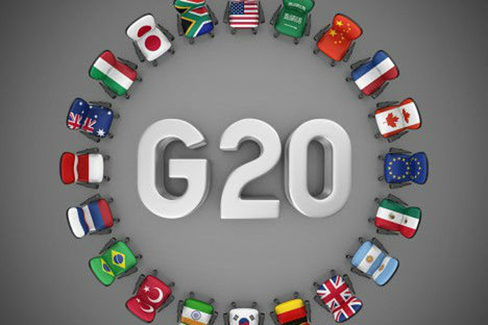 G20 ministers adopt energy action plan for Sub-Saharan Africa