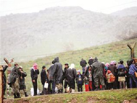 PKK terrorçularının üçdə iki hissəsi Türkiyəni tərk edib