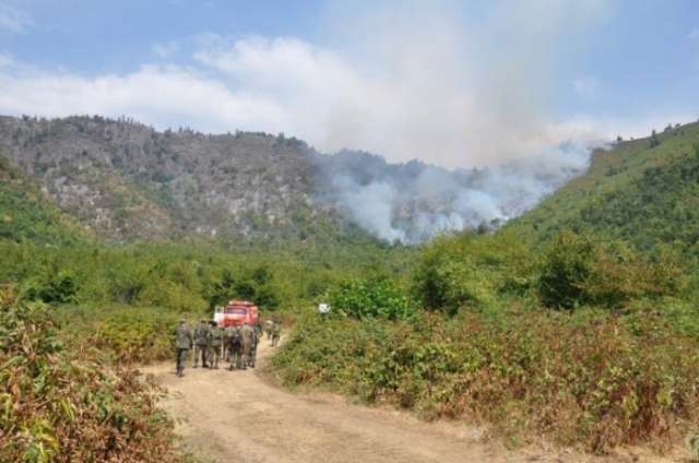 Another meeting held at headquarters set up to tackle forest fires in Azerbaijan’s Gabala