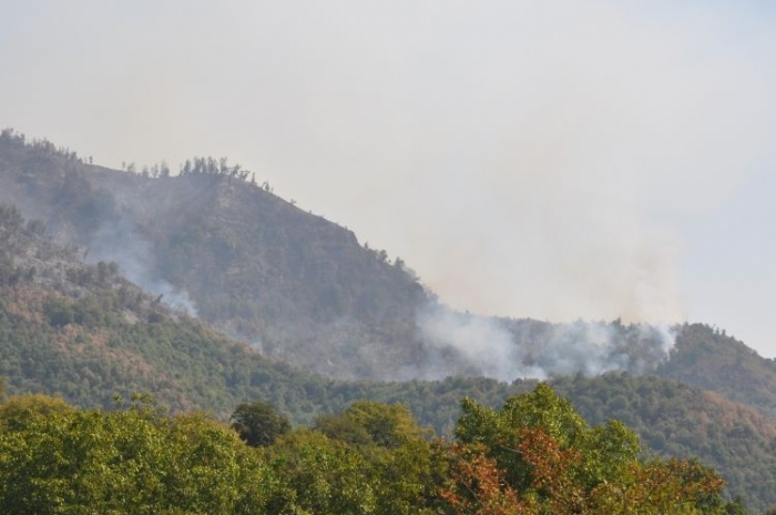 Forest fires in Azerbaijan’s Gabala fully brought under control
