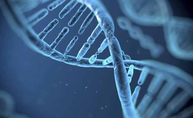 Scientists find gene linked to Parkinson`s disease