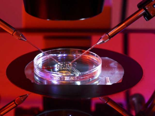 Gene editing breakthrough could destroy deadliest diseases